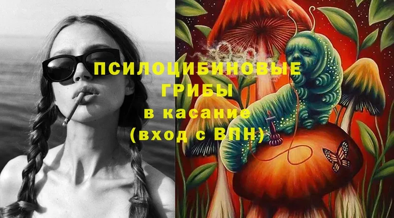 что такое   omg   Псилоцибиновые грибы Psilocybe  Лодейное Поле 